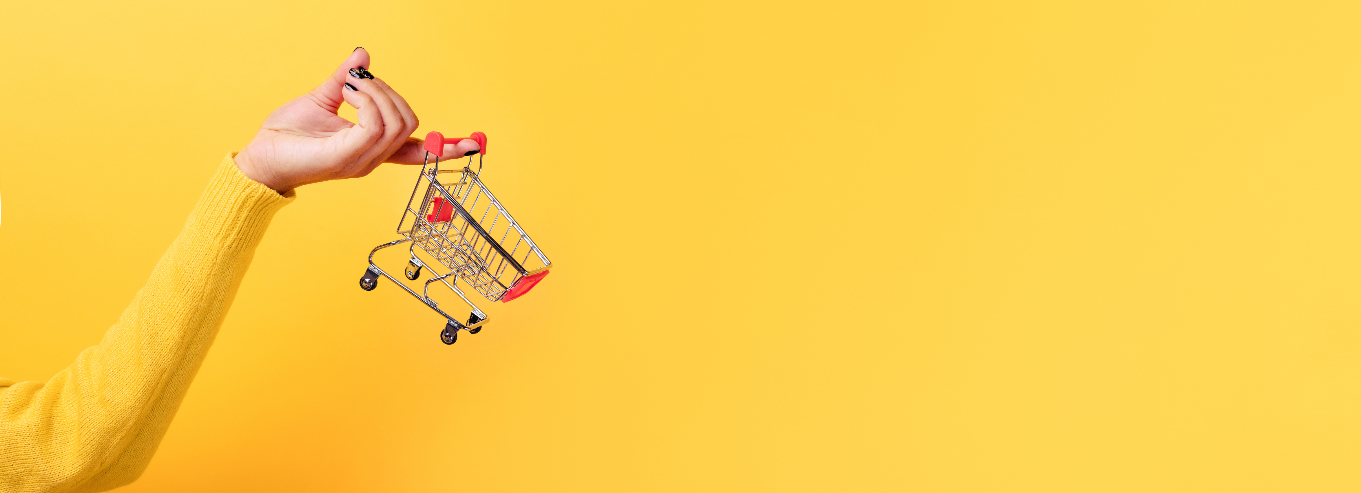 tiny shopping cart trolley